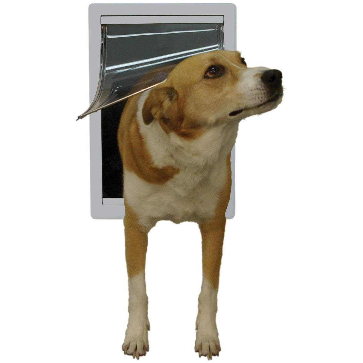 Ideal Pet Products Designer Series Plastic Pet Door with Telescoping Frame, Medium, 7" x 11.25" Flap Size