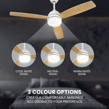 52 Inch Ceiling Fan with Lights Remote Control, Noiseless, Dimmable, 6-Speed Outdoor Ceiling Fan with Light, 3 Blade Wood Ceiling Fan with Timer, Reversible DC Motor for Patio Bedroom, White