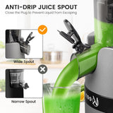 Juicer Machine for Whole Fruits and Vegetables, Cold Press Slow Juicer with Wide Mouth 80mm Feeding Chute, Reverse Function Quiet Motor Fresh Healthy Juice Extractor, EL18, Grey