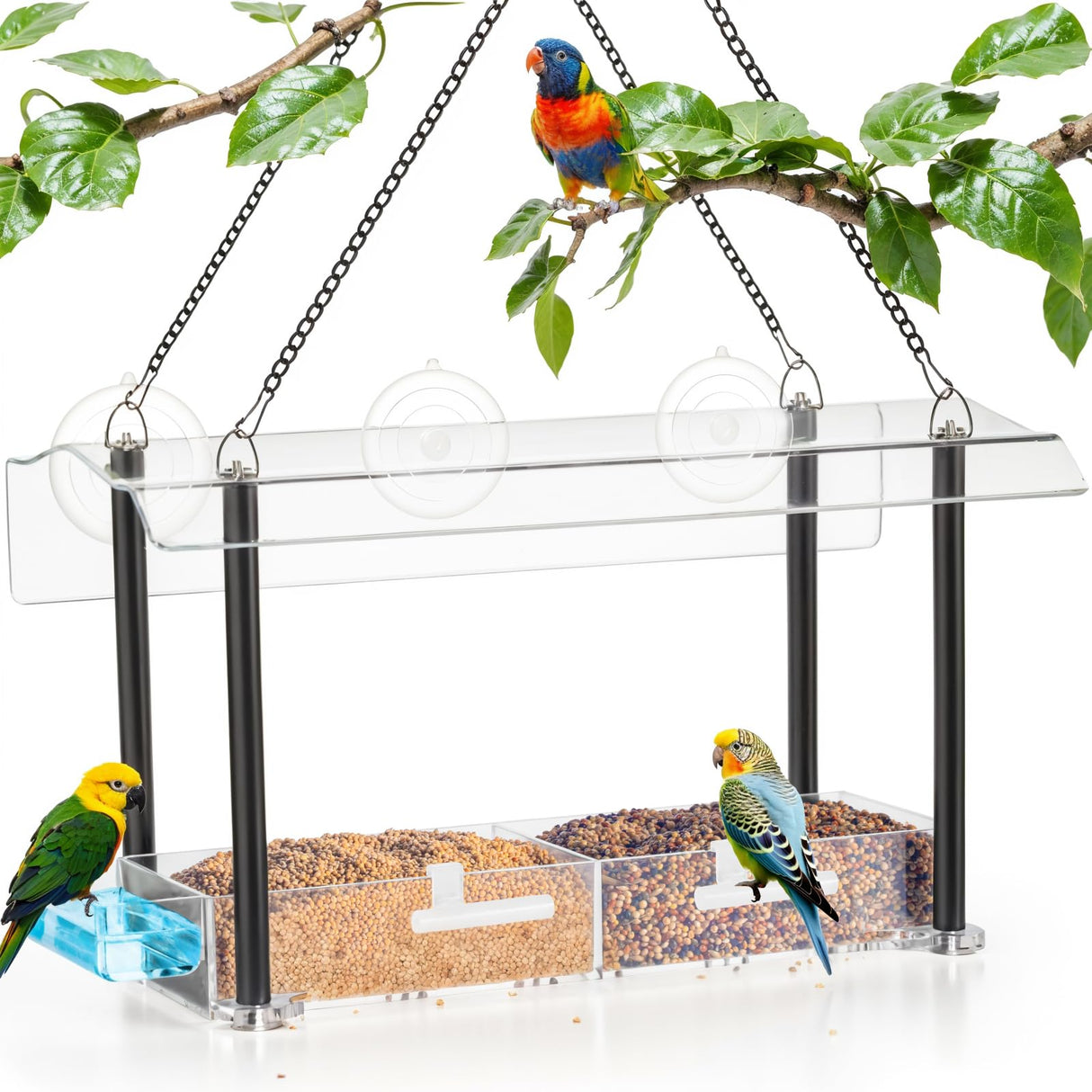 Bird Feeder with Suction Cup Mount - Convenient Water Tray Included Transparent Acrylic