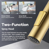 2 Mode Pull Out Kitchen Tap Swivel Gooseneck Laundry Sink Taps Faucet WELS Kitchen Mixer Tap(Brushed Yellow Gold)