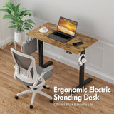 Electric Standing Desk, Height Adjustable Ergonomic Sit Stand Desks with Hanging Hooks and Cable Management, 100 x 55 cm Whole Piece Desktop, for Small Space, Black Frame