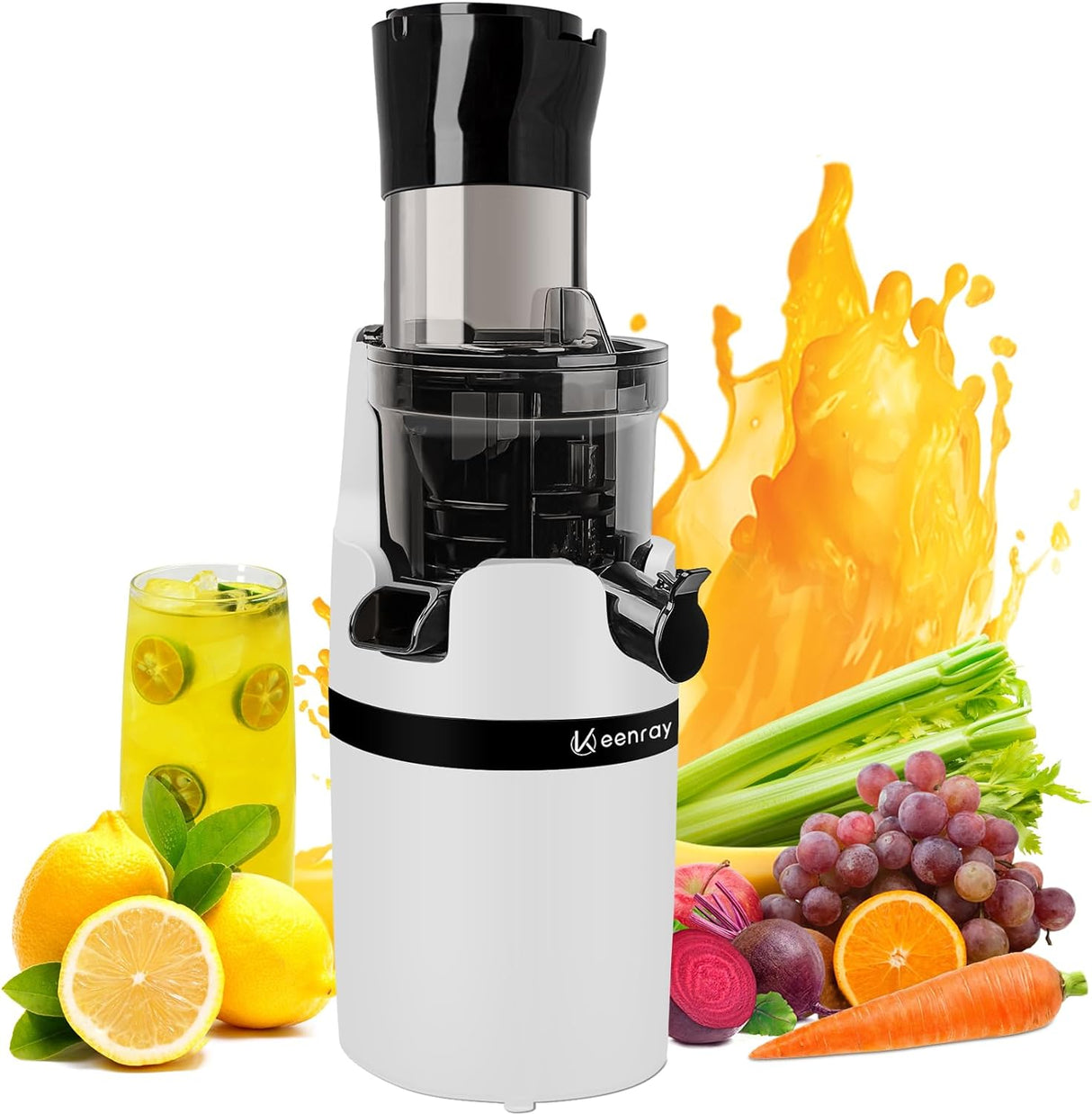 Juicer Machine for Whole Fruits and Vegetables, Cold Press Slow Juicer with Wide Mouth 80mm Feeding Chute, Reverse Function Quiet Motor Fresh Healthy Juice Extractor, EL18, Grey