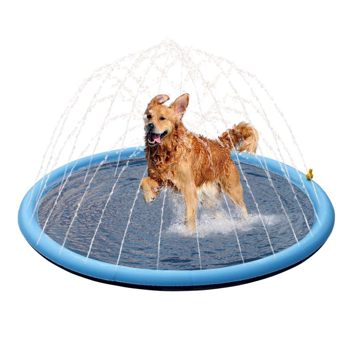 Pet Basic Dog Inflatable Sprinkler Mat/Pool Adjustable with Anti-Slip Pad, Spray Safe, Summer Fun, BPA Free, Fun for Every Dog, 1m, Blue