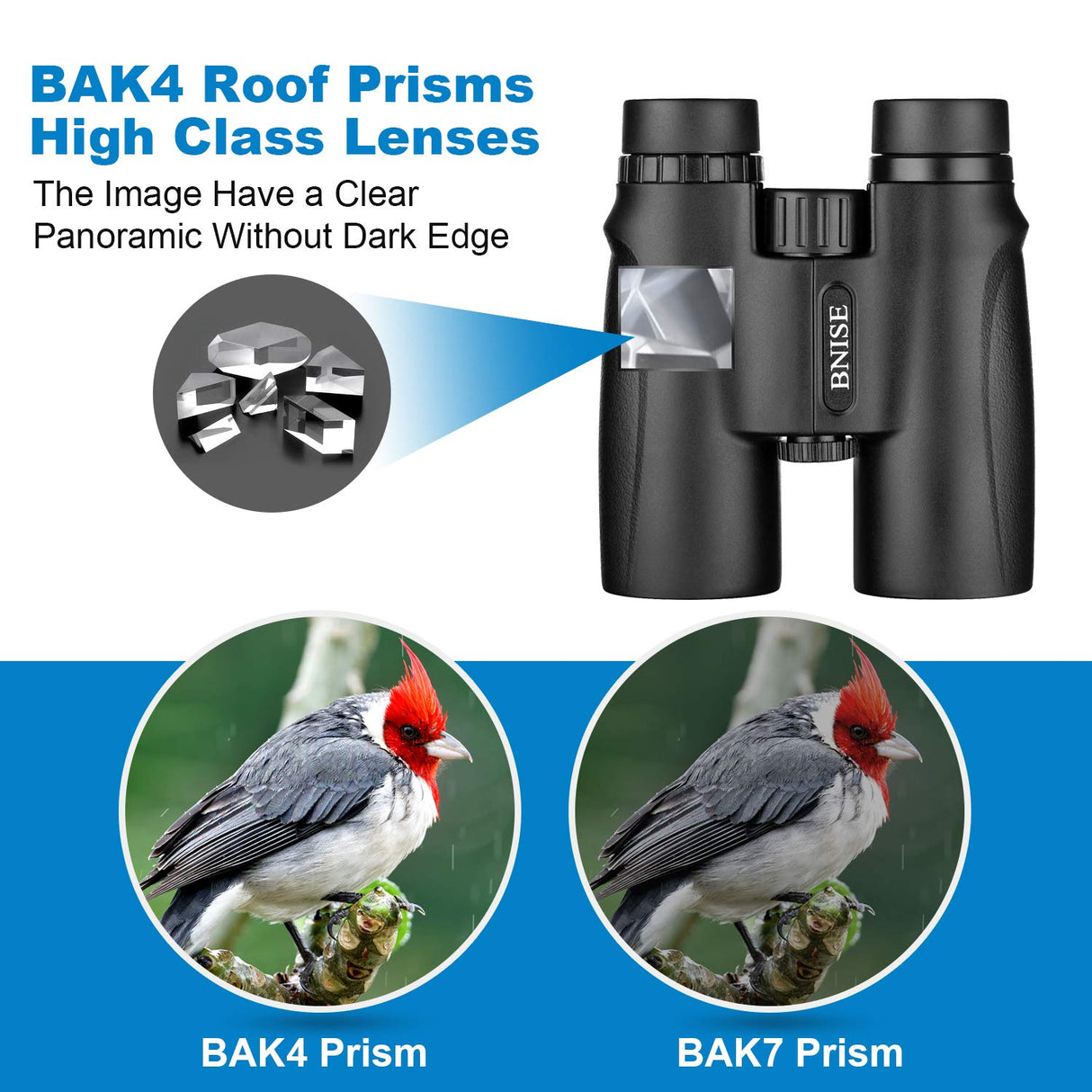 Binoculars for Adults, 10X42 Roof Prism Low Light Vision Lightweight Compact Binocular for Bird Watching, Hunting, Traveling, Stargazing with Lens Caps, Neck Strap and Carrying Bag